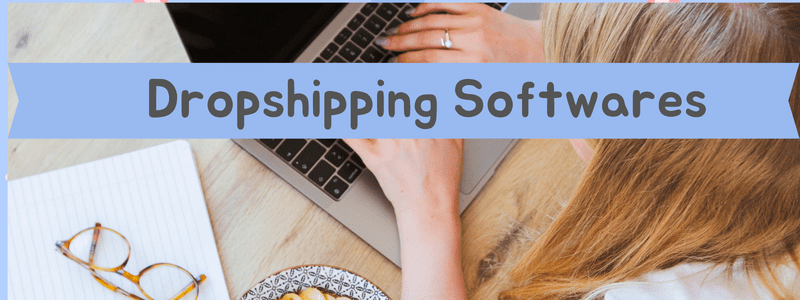 Top Dropshipping Softwares in the eCommerce Market
