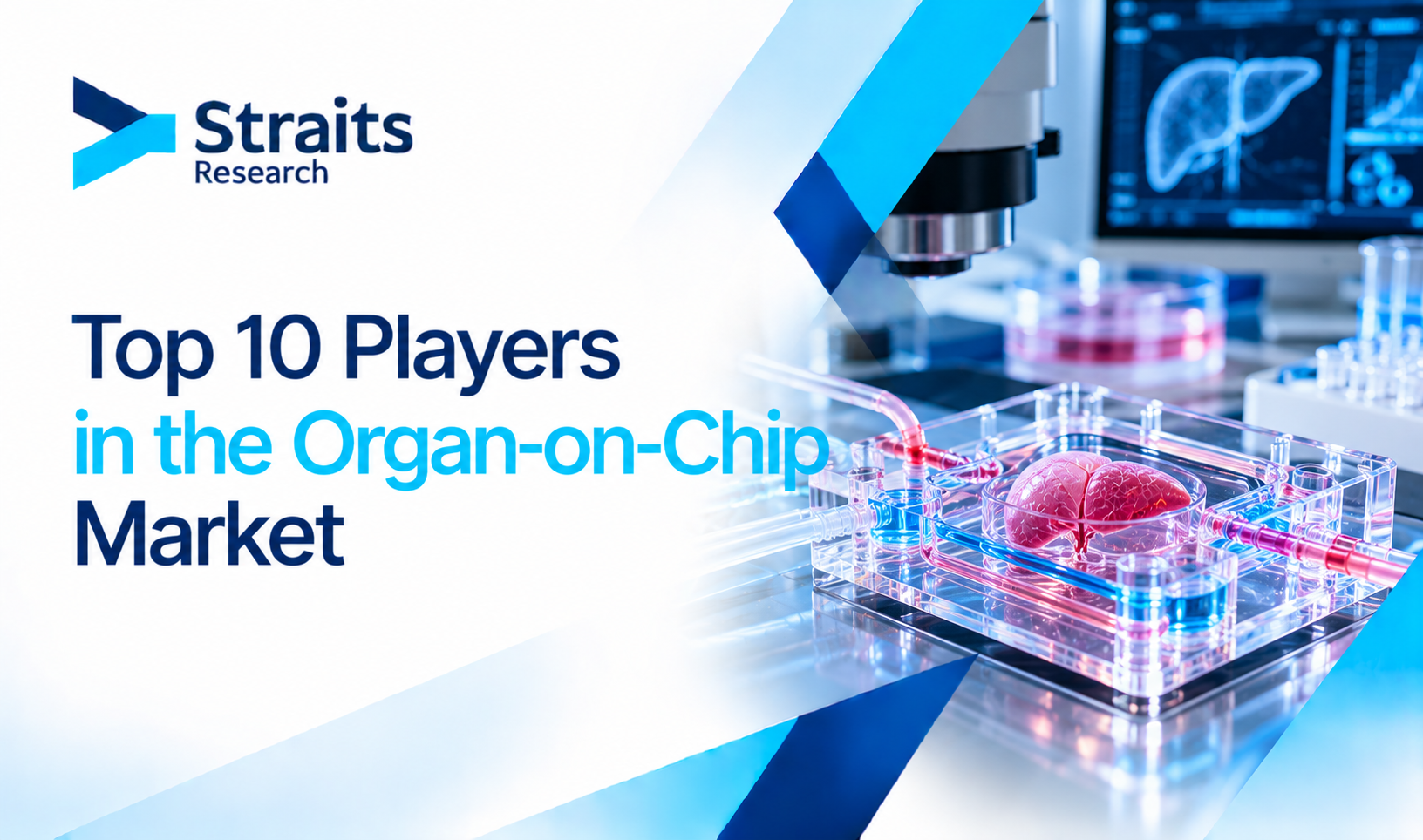 Top 10 players in the Organ-on-Chip Market