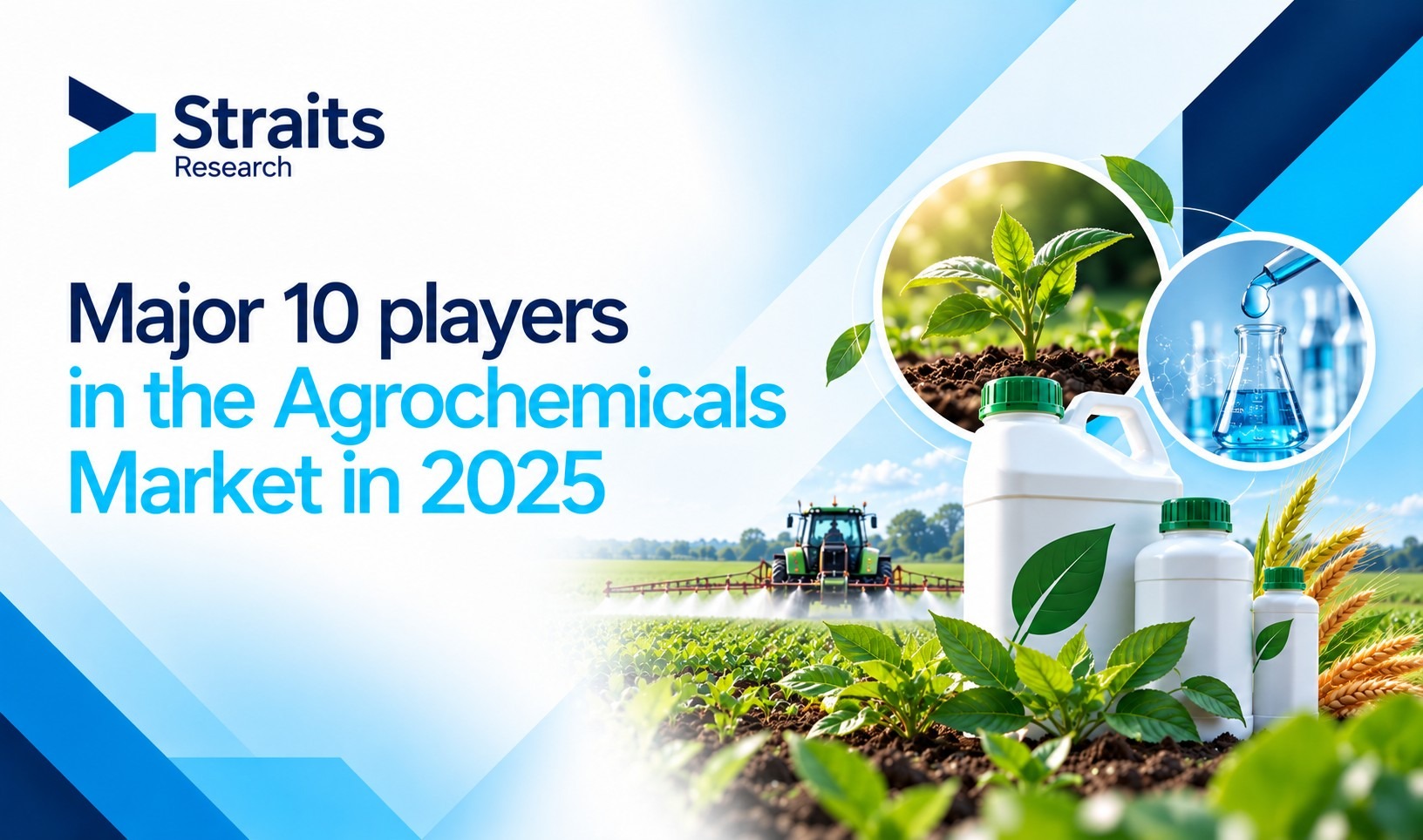 Major 10 players in the Agrochemicals Market in 2025