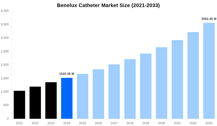 Benelux Catheter Market Overview