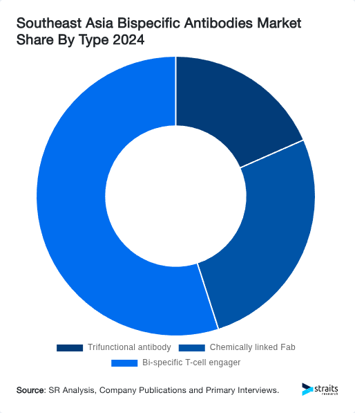 Southeast Asia Bispecific Antibodies Market Share By Type 2024