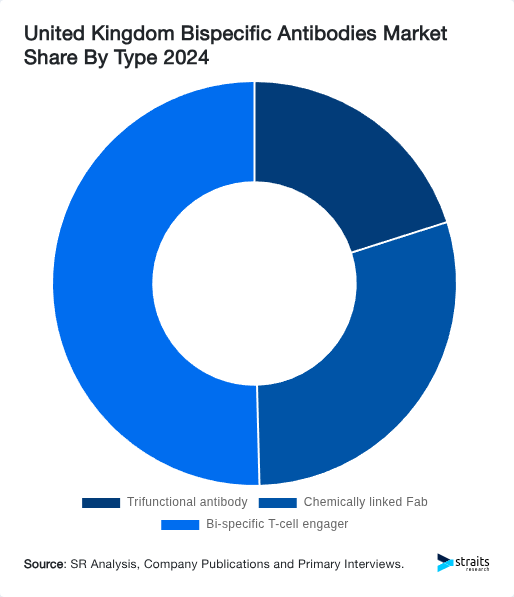 United Kingdom Bispecific Antibodies Market Share By Type 2024
