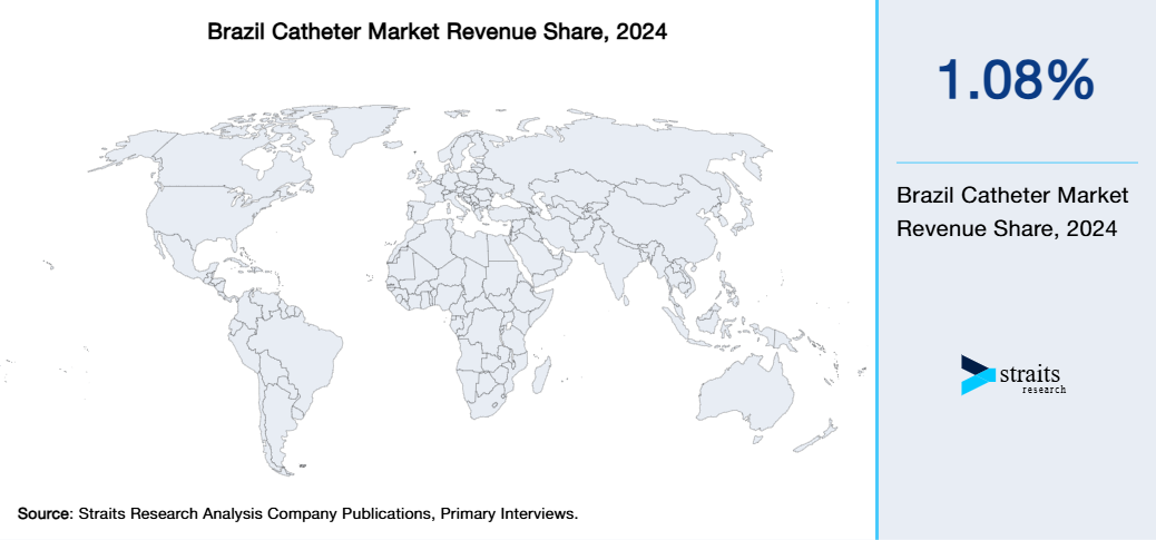 Brazil Catheter Market Revenue Share 2024