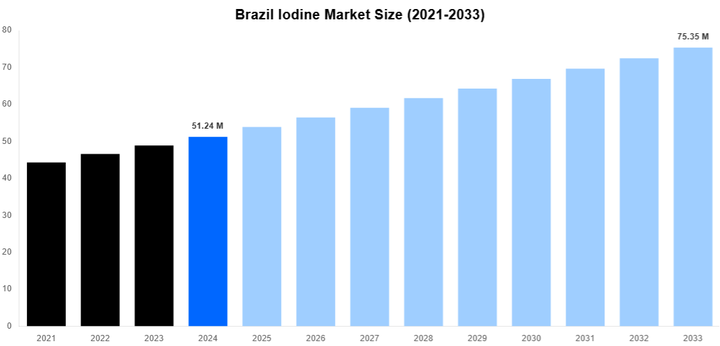 Brazil Iodine Market Overview