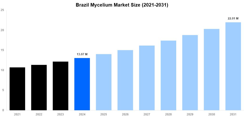 Brazil Mycelium Market Overview