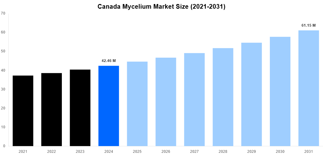 Canada Mycelium Market Overview