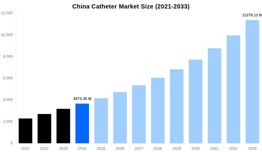 China Catheter Market Overview
