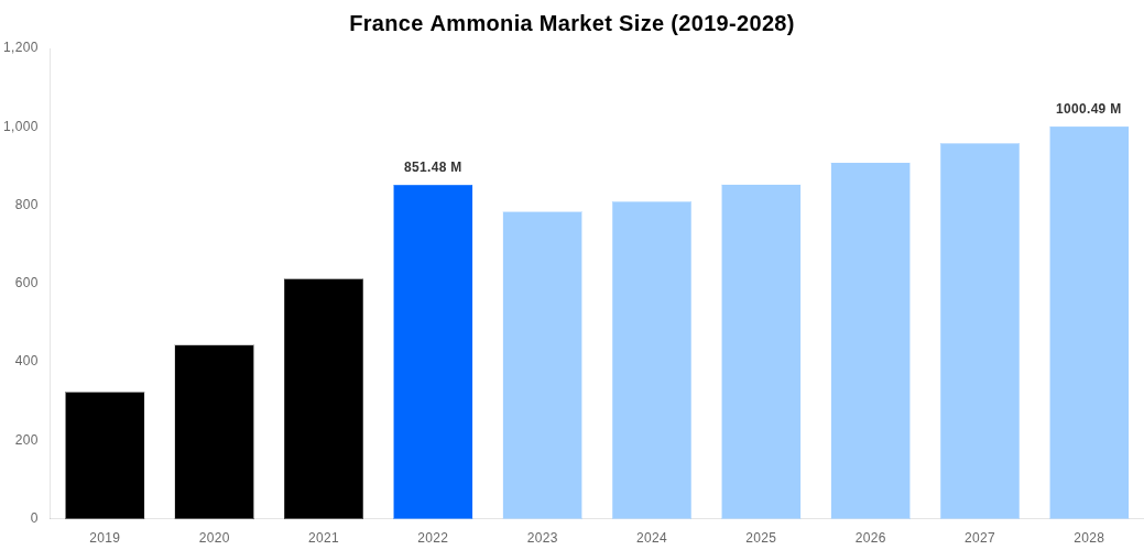 France Ammonia Market Overview