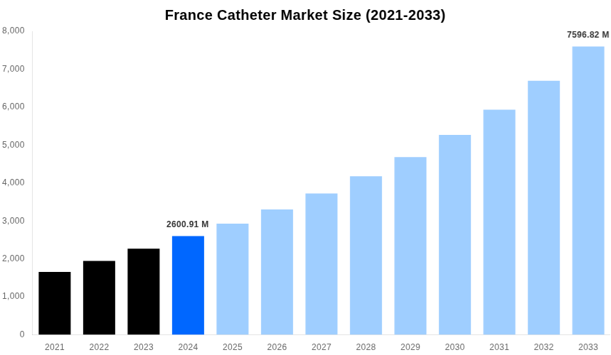 France Catheter Market Overview