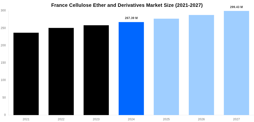 France Cellulose Ether and Derivatives Market Overview