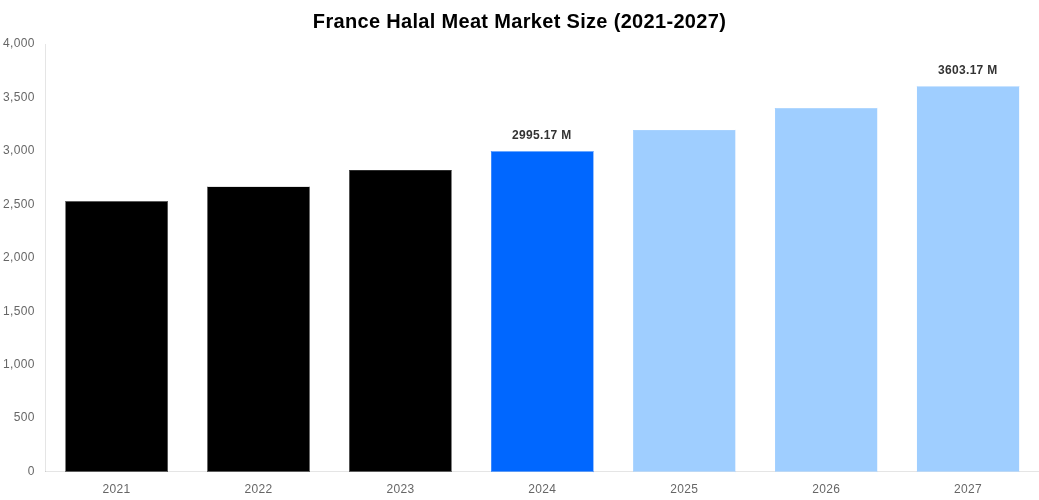 France Halal Meat Market Overview