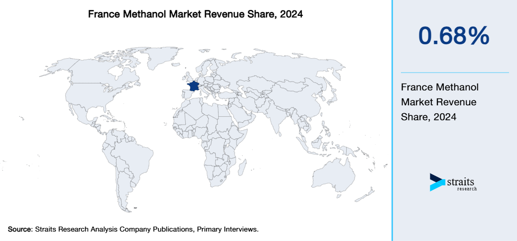 France Methanol Market Revenue Share 2024
