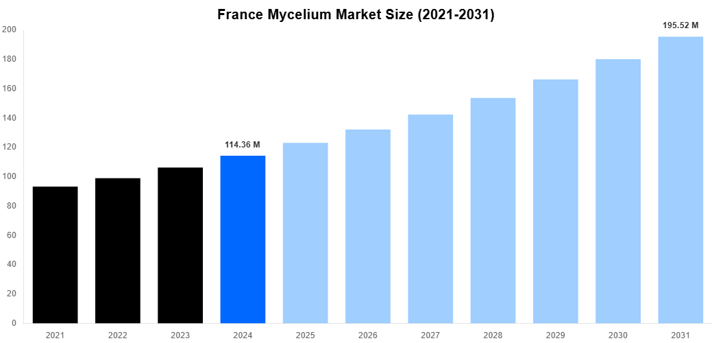 France Mycelium Market Overview