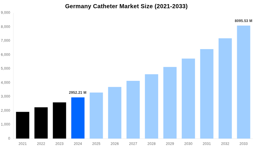 Germany Catheter Market Overview