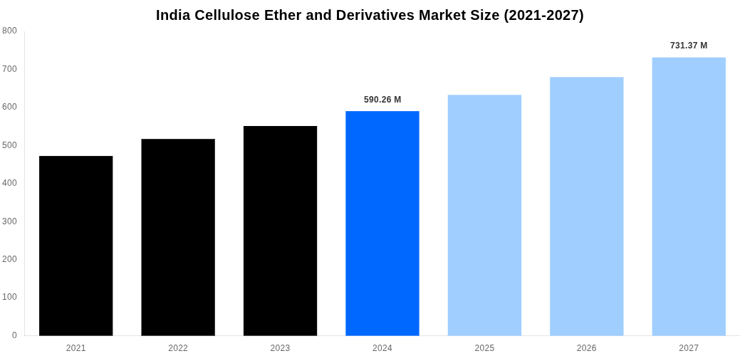 India Cellulose Ether and Derivatives Market Overview