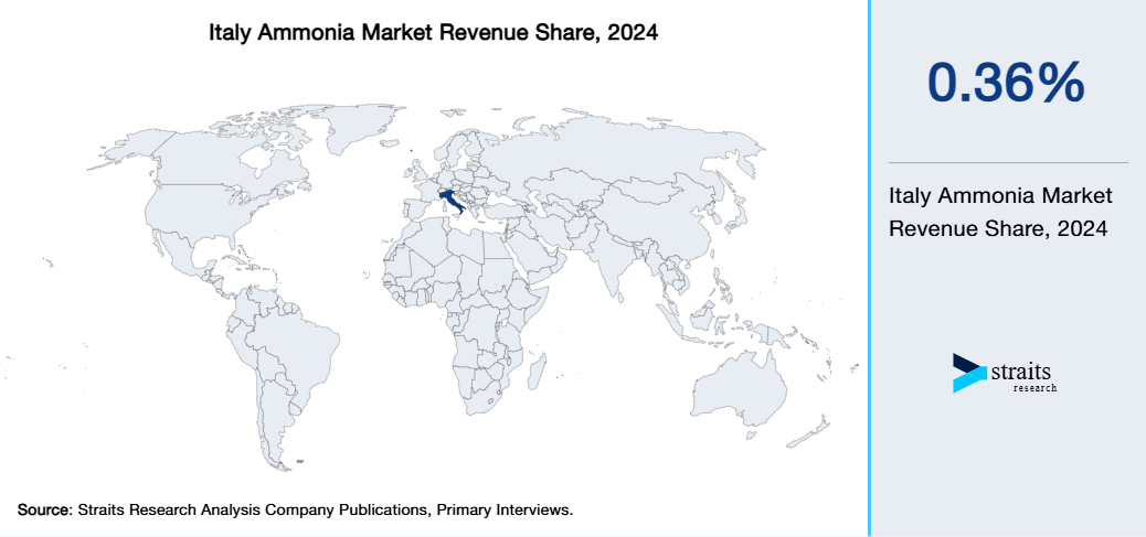 Italy Ammonia Market Revenue Share 2024