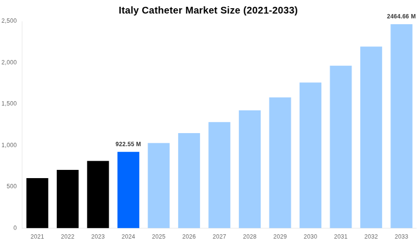 Italy Catheter Market Overview