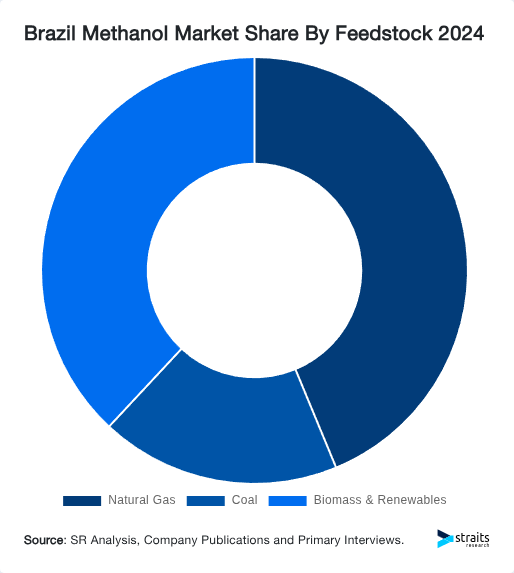 Brazil Methanol Market Share By Feedstock 2024