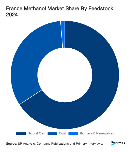 France Methanol Market Share By Feedstock 2024