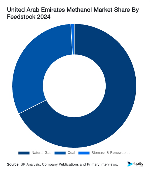 United Arab Emirates Methanol Market Share By Feedstock 2024