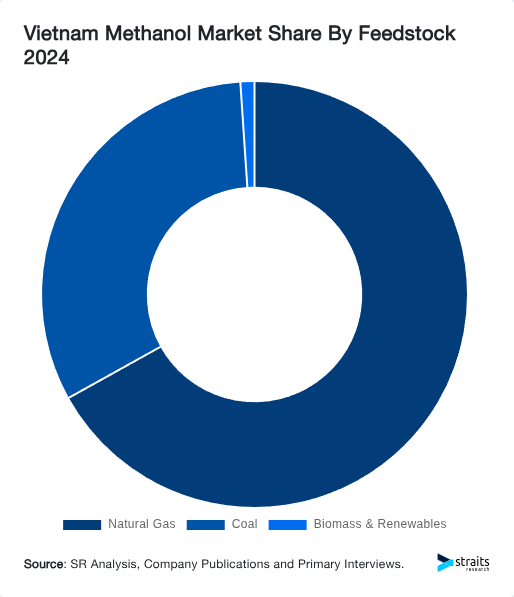 Vietnam Methanol Market Share By Feedstock 2024