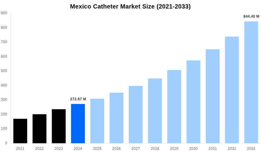 Mexico Catheter Market Overview