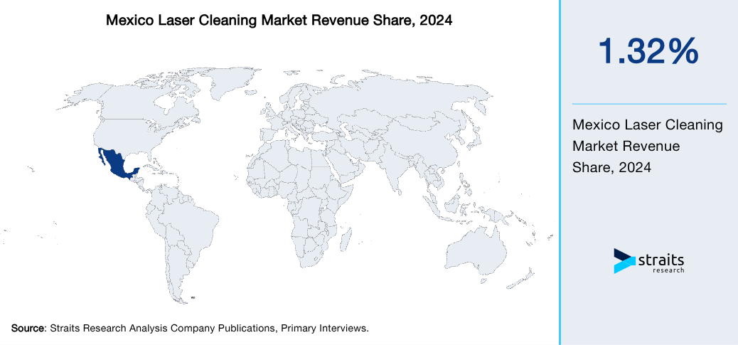 Mexico Laser Cleaning Market Revenue Share 2024