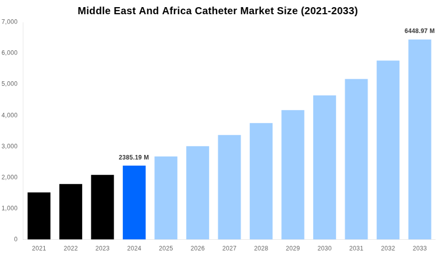 Middle East And Africa Catheter Market Overview