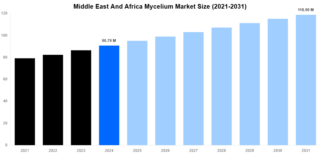 Middle East And Africa Mycelium Market Overview