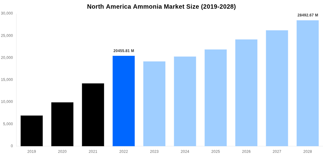 North America Ammonia Market Overview