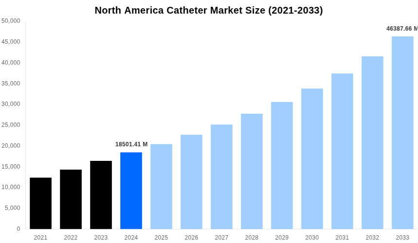 North America Catheter Market Overview
