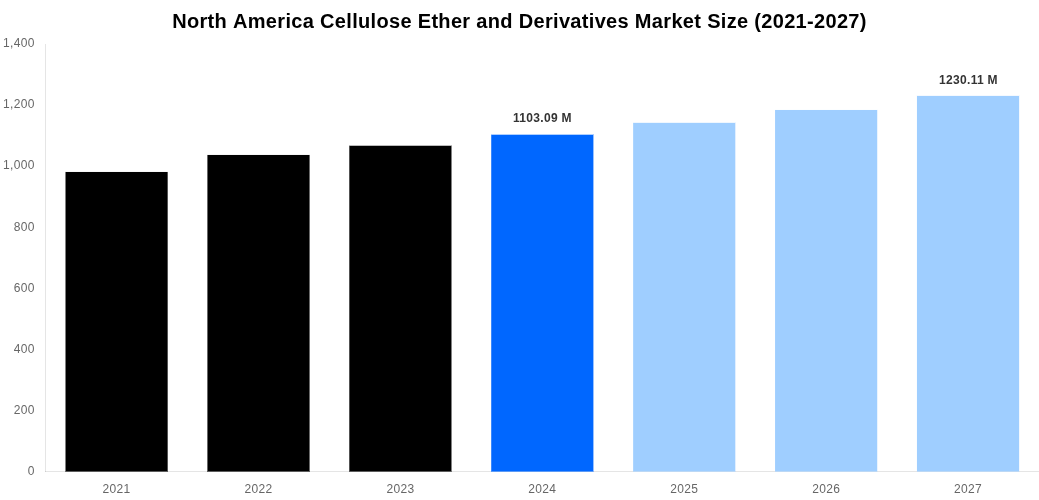 North America Cellulose Ether and Derivatives Market Overview