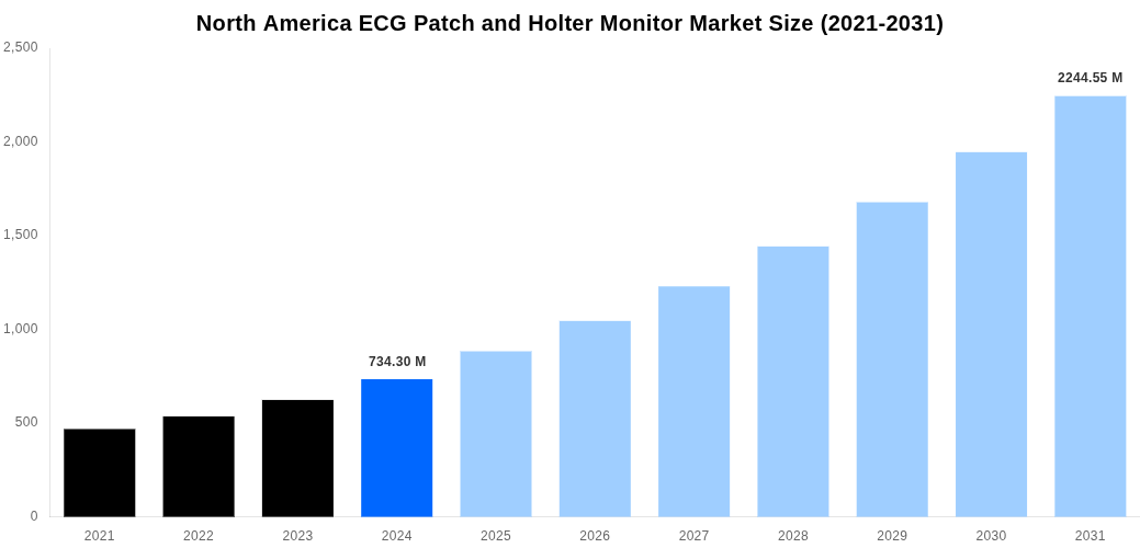 North America ECG Patch and Holter Monitor Market Overview