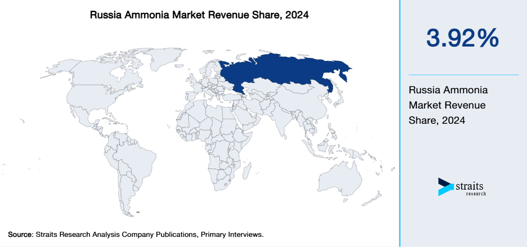 Russia Ammonia Market Revenue Share 2024