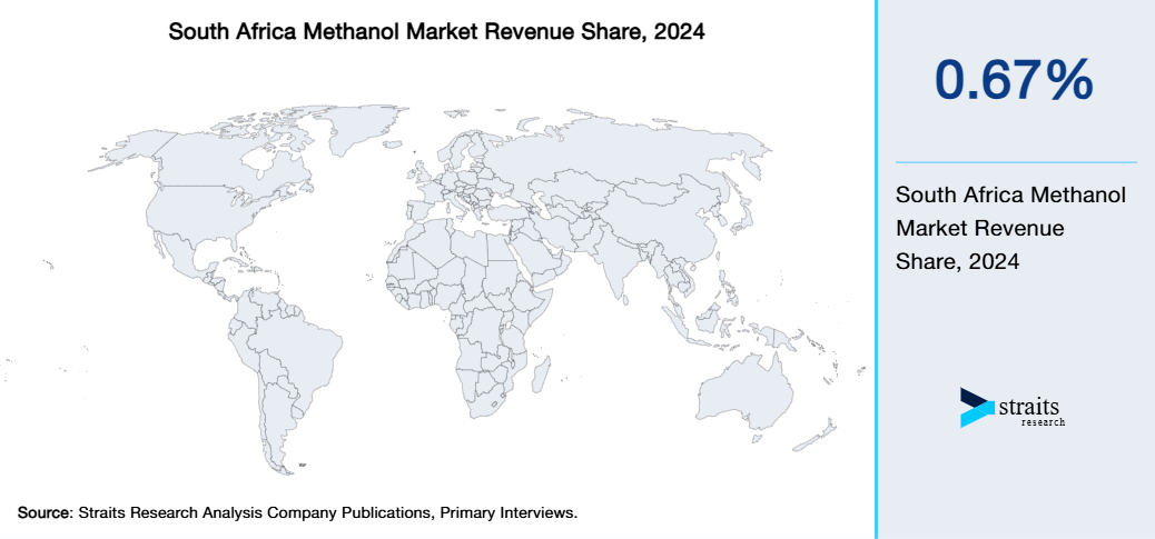 South Africa Methanol Market Revenue Share 2024