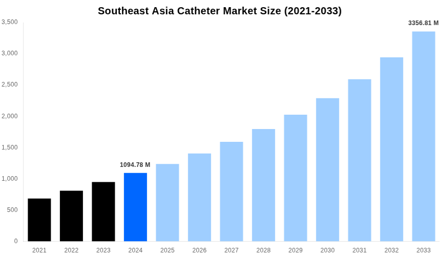 Southeast Asia Catheter Market Overview