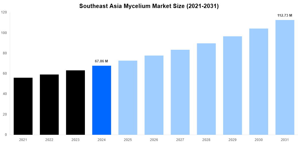 Southeast Asia Mycelium Market Overview