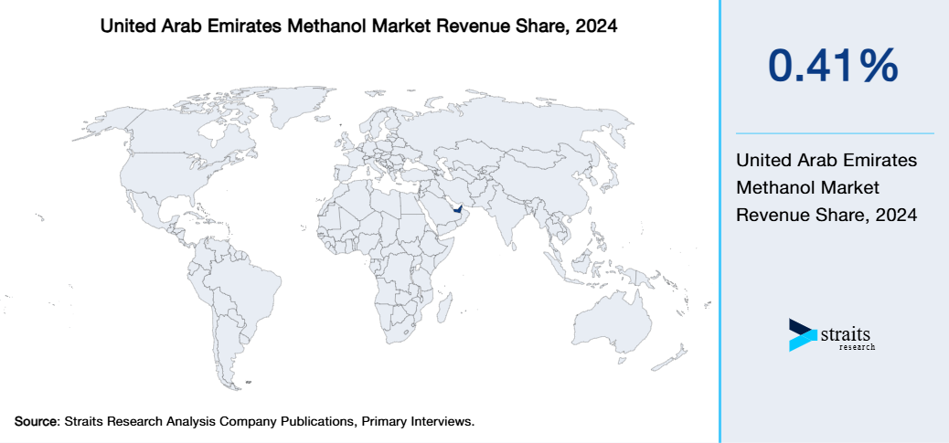United Arab Emirates Methanol Market Revenue Share 2024