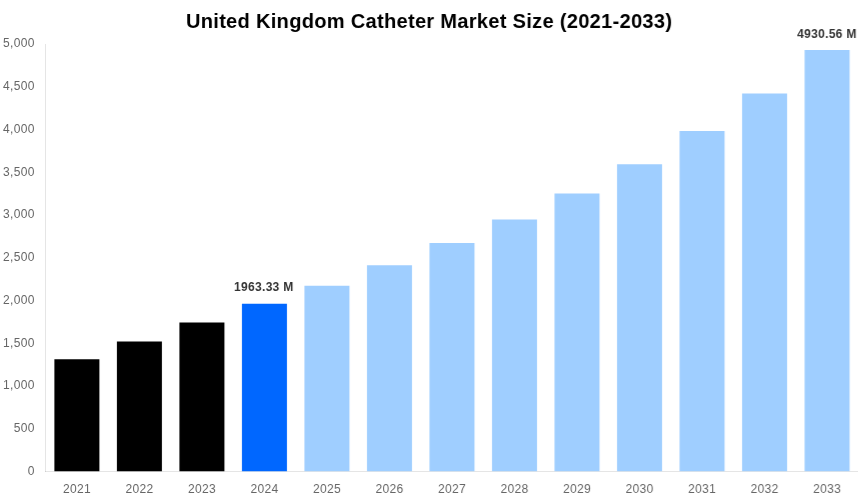 United Kingdom Catheter Market Overview