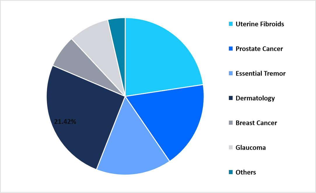 application-market-share-2025