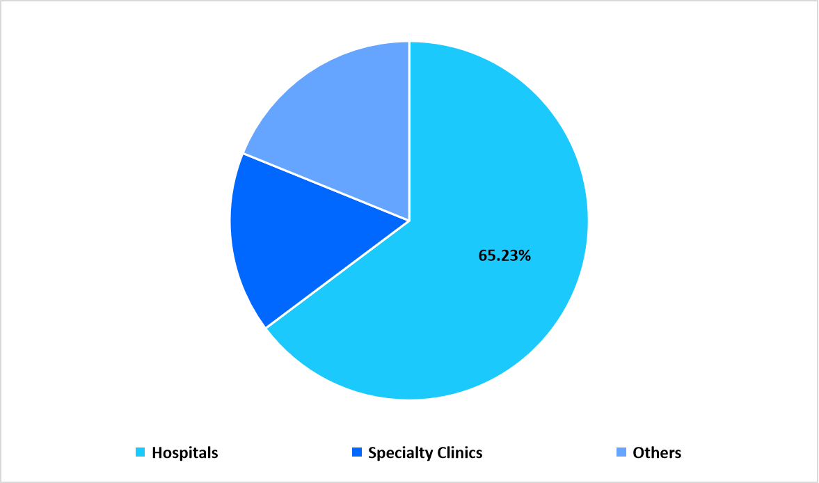 end-user-market-share-2025