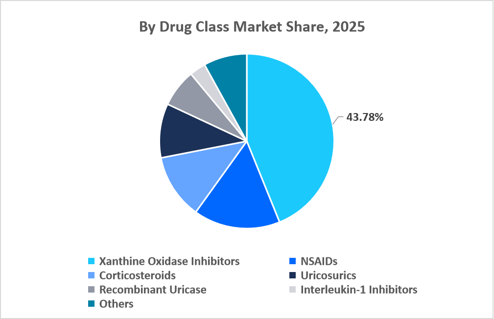 gout-therapeutics-market-by-drug-class-market-share-2025