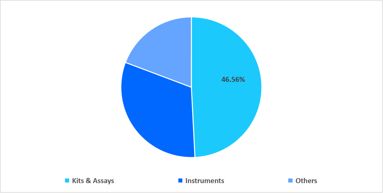 product-type-market-share-2025