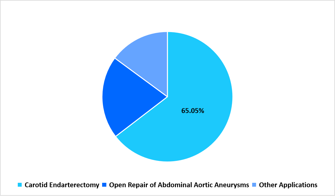 segmentation-application-2025