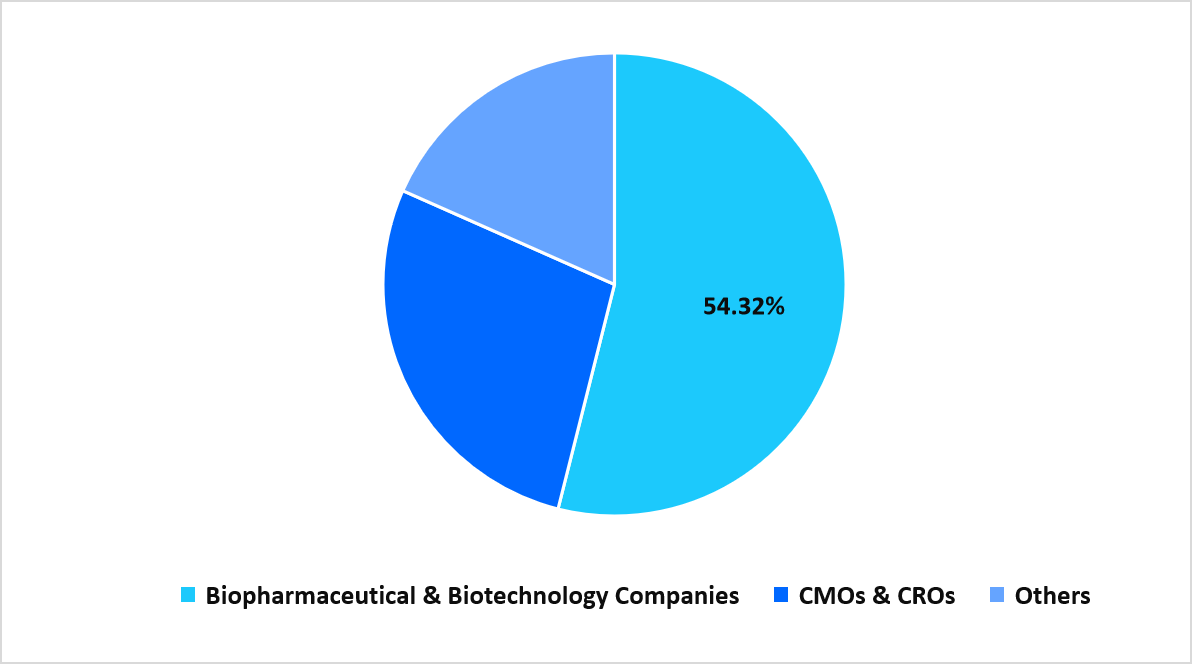 segmentation-end-use-2025