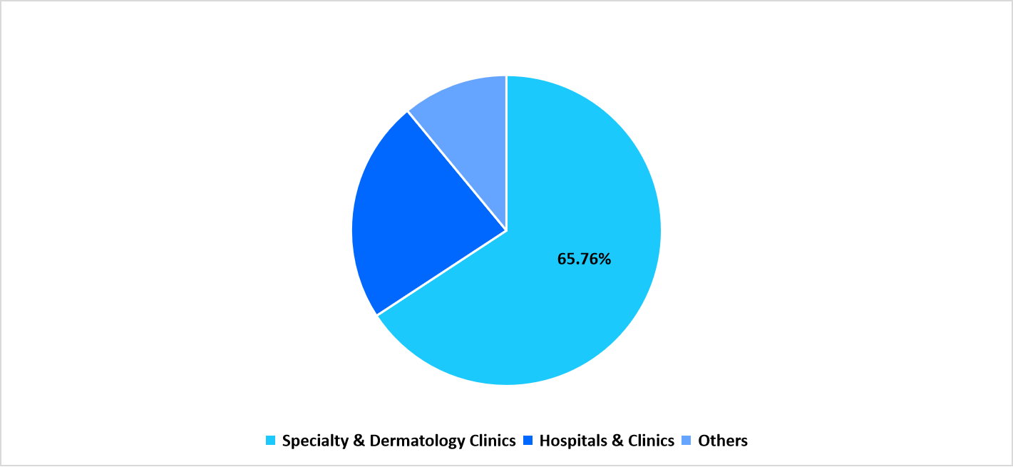 segmentation-end-user-2025