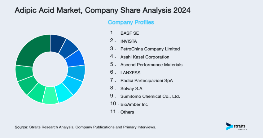 Adipic Acid Market Share of Key Players