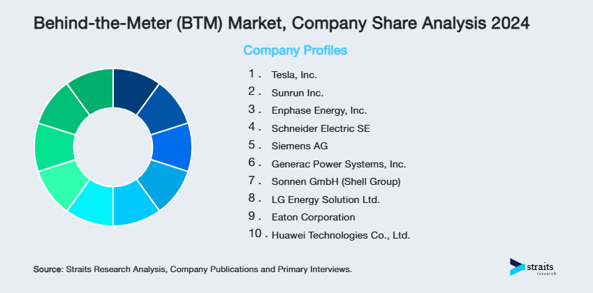 Behind-the-Meter (BTM) Market Share of Key Players