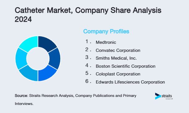 Catheter Market Share of Key Players