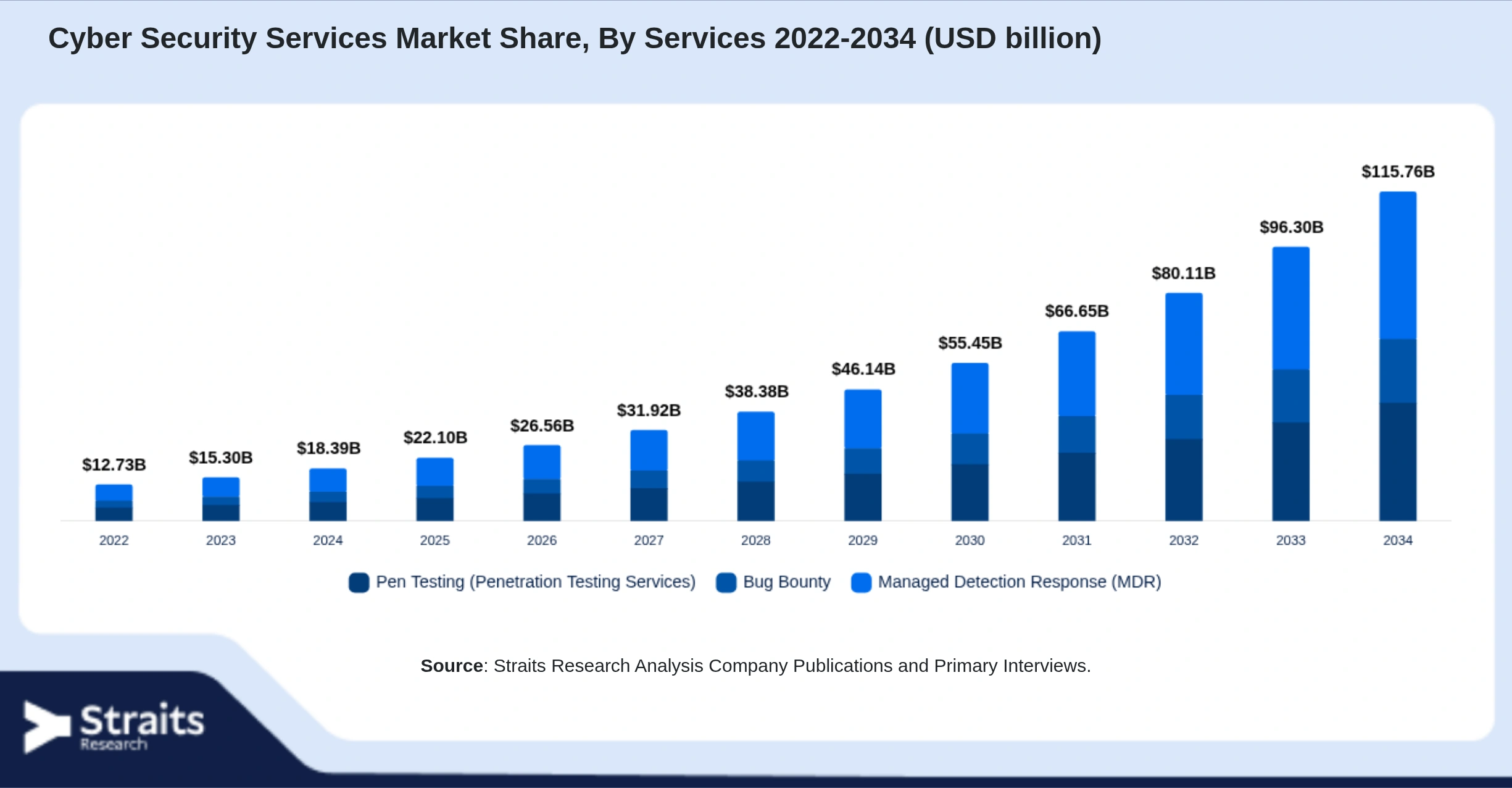 Cyber Security Services Market Size By Segments